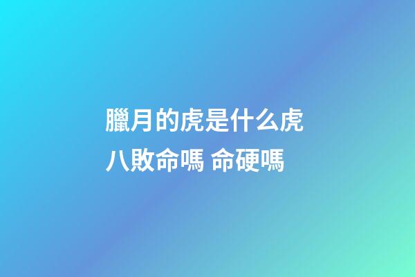 臘月的虎是什么虎 八敗命嗎 命硬嗎